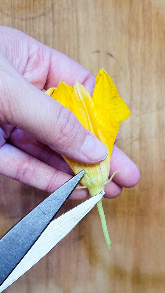 Removing the spikes from the squash blossom.