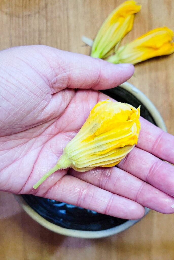 Holding a stuffed squash blossom twisted closed to seal in the cheese. 